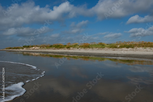 Sea Oats in the dunes at East Beach as viewed from the surf, St Simons Island, GA