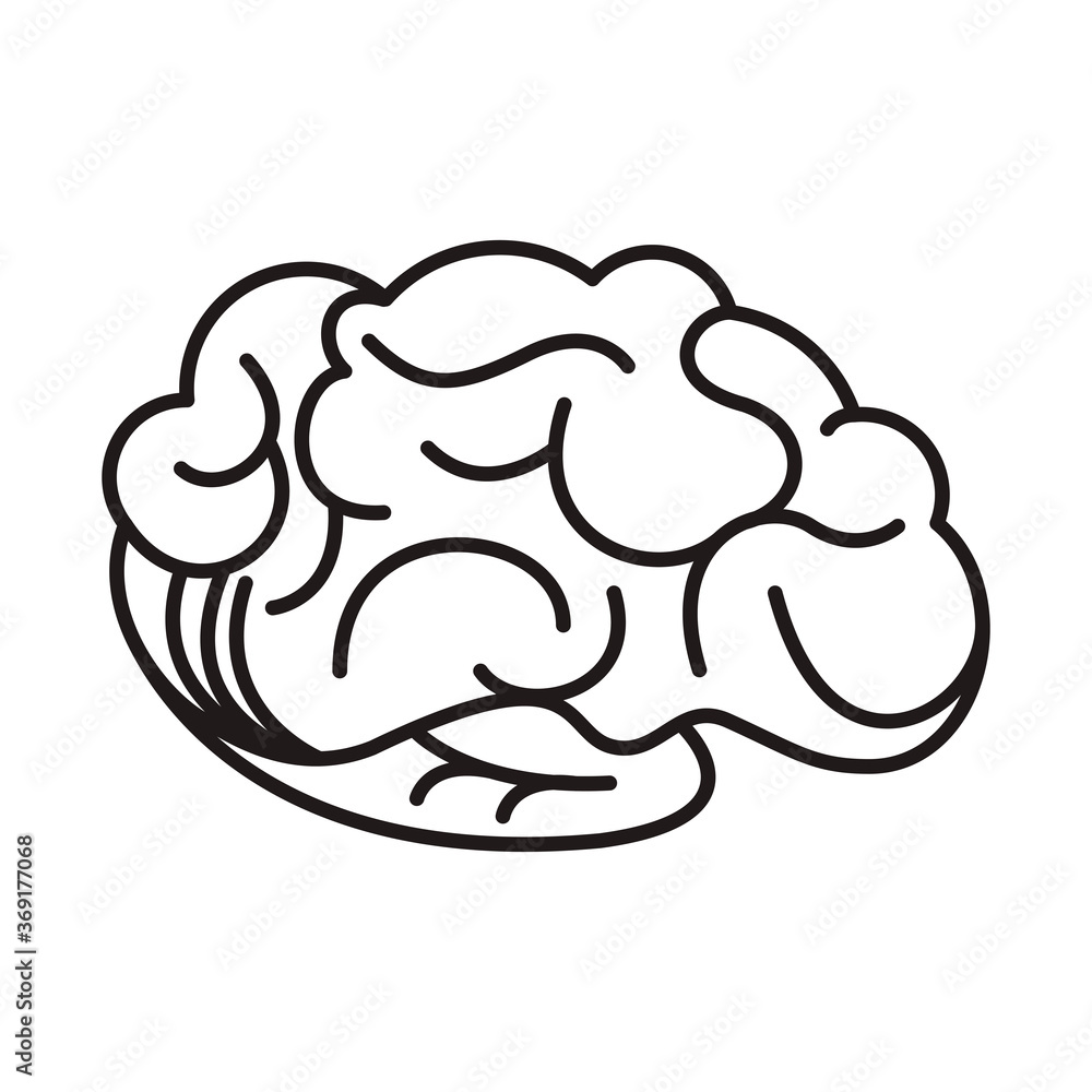 brain human organ isolated icon brain human organ isolated icon
