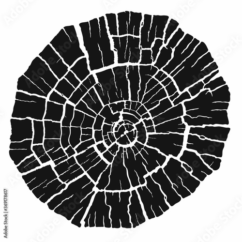 Black stamp of wood texture. Tree rings from a slice of log. Dry cracked wood rings, isolated on white background. Vector 