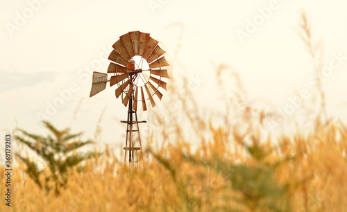 windmill in Australian paddock at sunset