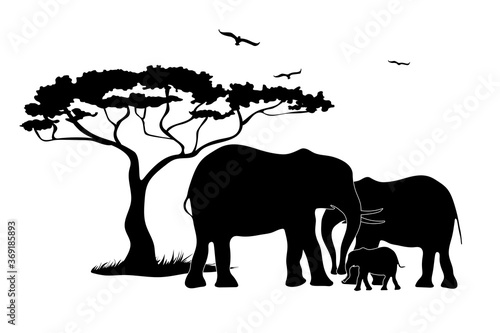 Family of elephants in Africa. Black silhouette animals, tree, birds. Wildlife protection concept.
