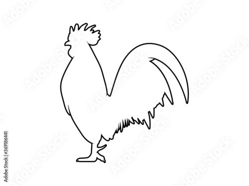 Vector Illustration. Black Silhouette of a rooster design. isolated male chicken on a white background