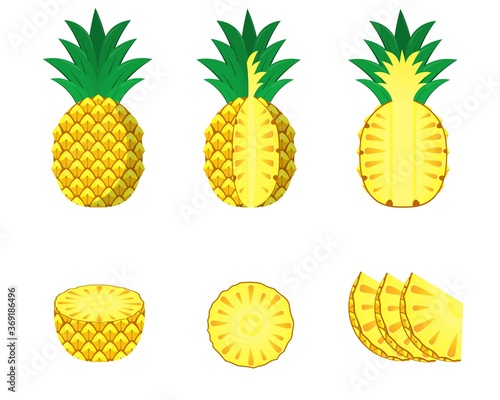 Set of Pineapple Vector Design. Flat Design Illustration.
