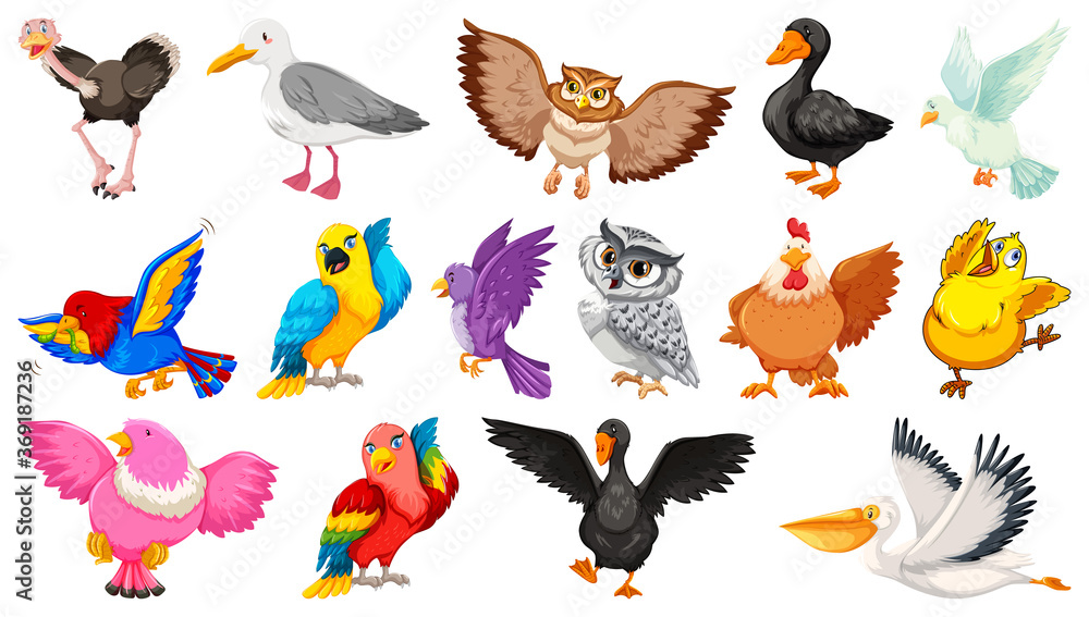 Obraz premium Set of different birds cartoon style isolated on white background