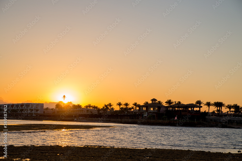 sunset on the sea with palm trees in the evening