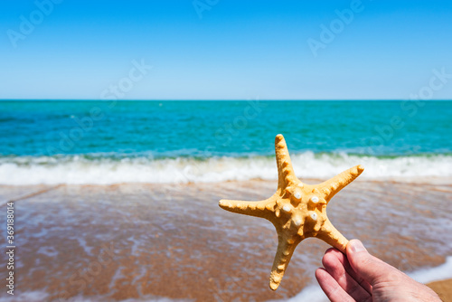 Starfish in hand on ocean background