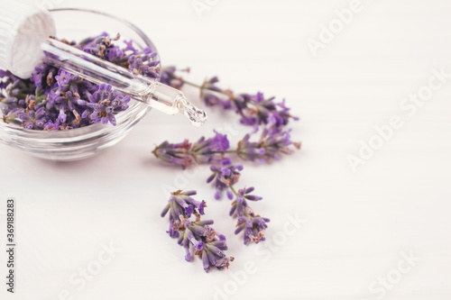 Dropper with lavender essential oil and lavender flowers around it  on white background with copyspace. Home spa and aromatherapy concept