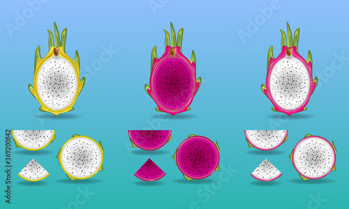 Vector Dragon fruit, pitaya or pitahaya is summer tropical fruits for healthy with half and slice pieces set isolated and shadow on background. 