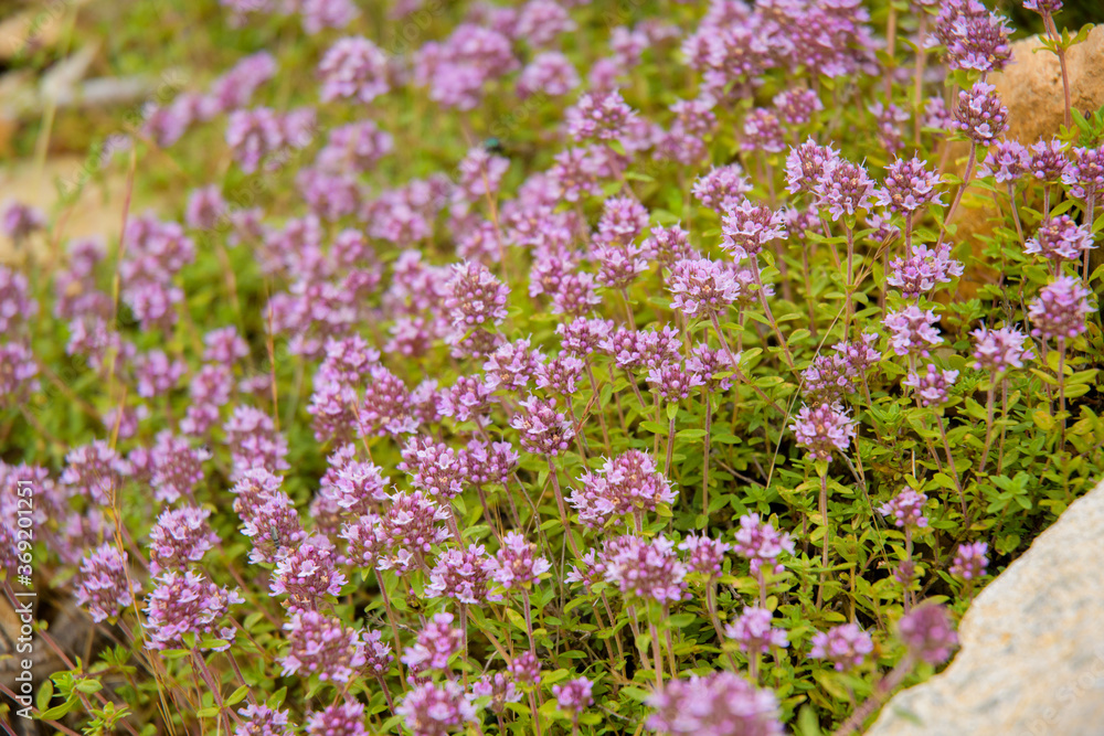Griechenland Natur Griechenland Natur