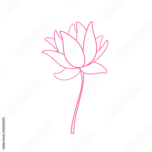 Lotus flower. Linear vector illustration. 