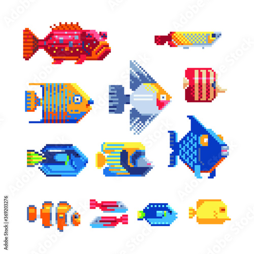 Tropical fish icon set. Flat illustration sea color tropical fish. Design various aquarium fish or tropical sea fish. Isolated pixel art 80s style illustration.