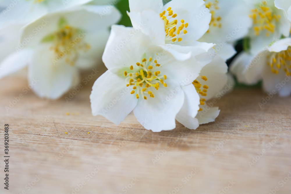 White jasmine flowers, traditional green tea ingredient, aromatherapy flavor White jasmine flowers, traditional green tea ingredient, aromatherapy flavor