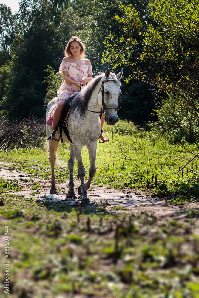 Young girl rides a white horse near the forest in the afternoon in summer