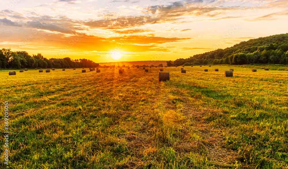 Scenic view at beautiful sunset in a green shiny field with hay stacks, bright cloudy sky , trees and golden sun rays with glow, summer valley landscape