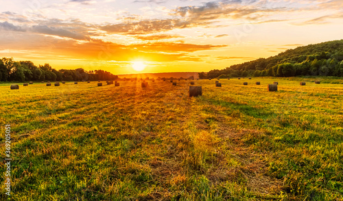 Scenic view at beautiful sunset in a green shiny field with hay stacks  bright cloudy sky   trees and golden sun rays with glow  summer valley landscape