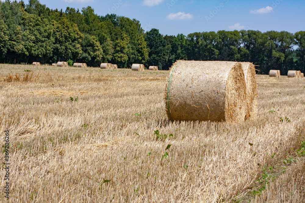 Getreide Ernte Strohballen gerollt