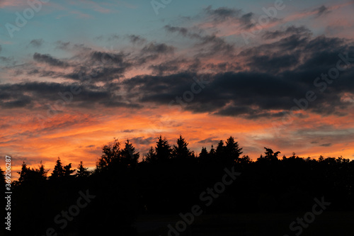 beautiful colorful sunset sky over black forest pine trees