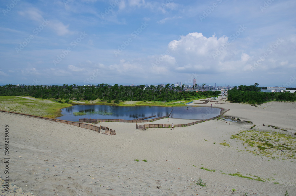 中田島砂丘から浜松の市街地を見る