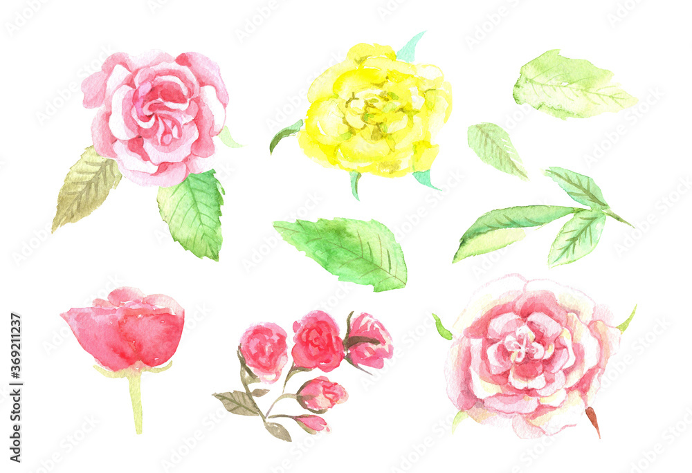 Watercolor set of roses, yellow, pink roses, leaves, romance, love postcard, vintage, retro Watercolor set of roses, yellow, pink roses, leaves, romance, love postcard, vintage, retro