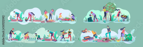 Harvesting and gardening people doing farming and garden job, pick berries, remove weeds, watering, planting, growing and transplant sprouts, lay ripe vegetables to box. Reaping crop