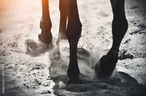 The horse's hooves gallop over the loose sand, raising dust into the air that is illuminated by sunlight.