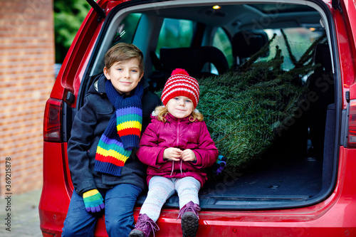 Adorable little toddler girl and school kid boy with Christmas tree inside of family car. Happy healthy children in winter fashion clothes buying big Xmas tree for traditional celebration. © Irina Schmidt