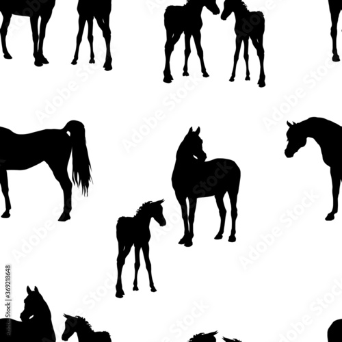 seamless background of figures of Arabian horses, a Mare with a foal and a stallion on a white and colored background