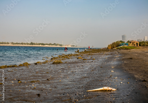 People fishing in emirates during coronavirus pandemic.