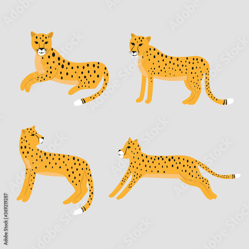 Set of cartoon leopard, vector Illustration