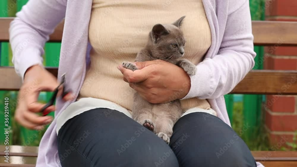 Woman cuts her cat's nails Woman cuts her cat's nails