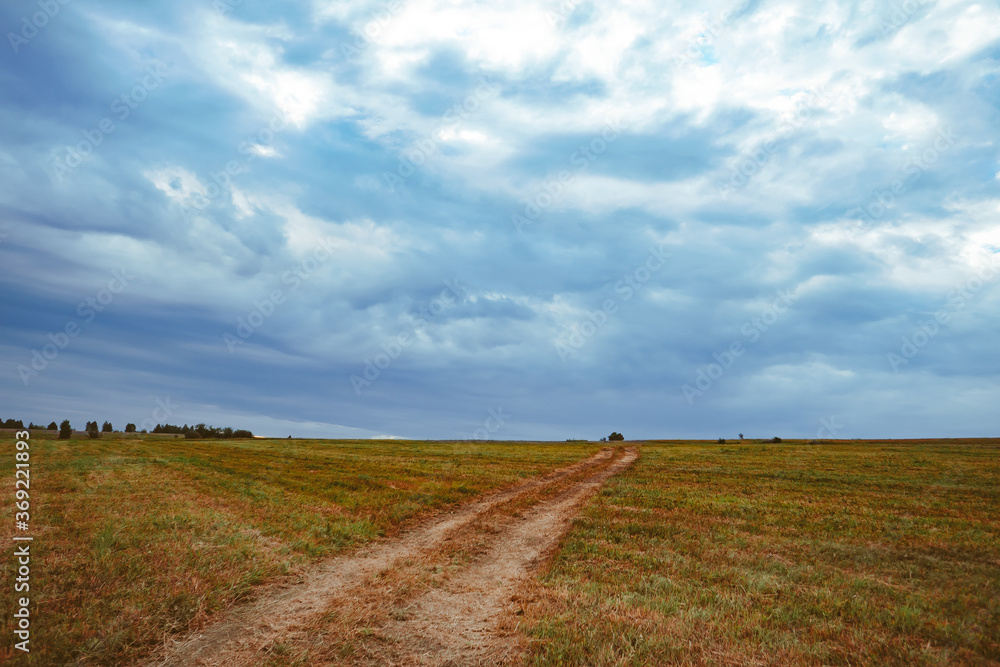 Obraz premium grass field and cloudy sky