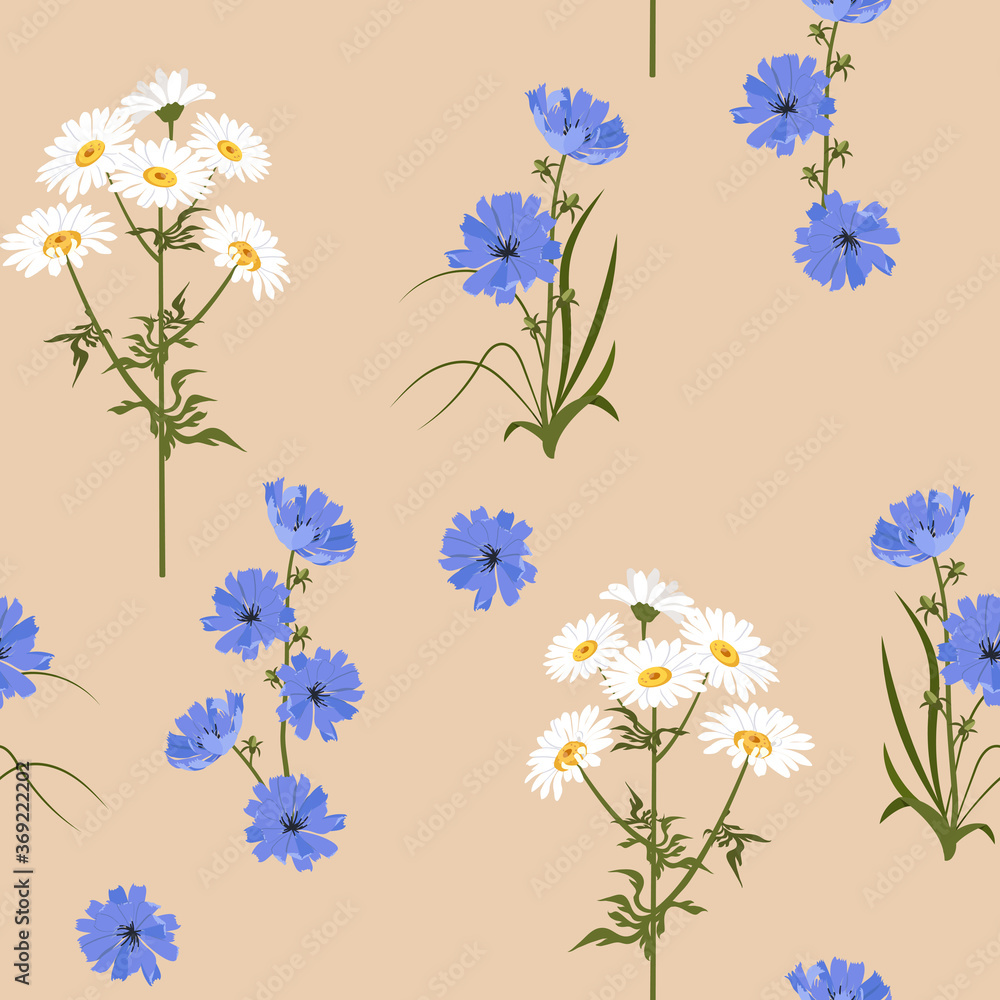 Seamless vector illustration with chamomile and chicory flowers