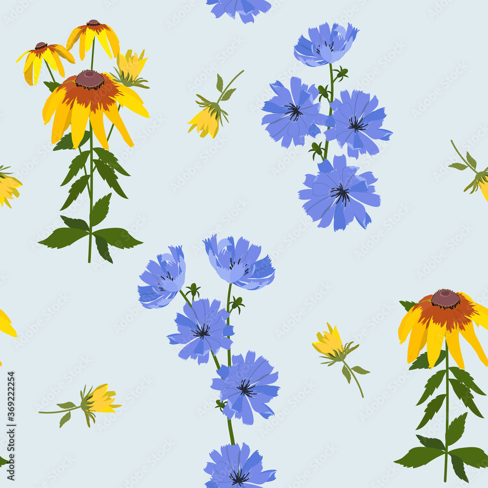 Seamless vector illustration with rudbeckia and chicory flowers