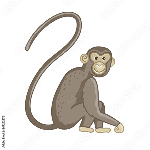 Spider monkey. Isolated wild ape with long tail. Cute primate mammal cartoon character icon. Vector wildlife exotic spider monkey animal