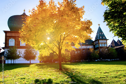 Warm autumn scenery in a forest or park with sun rays light through the mist and trees