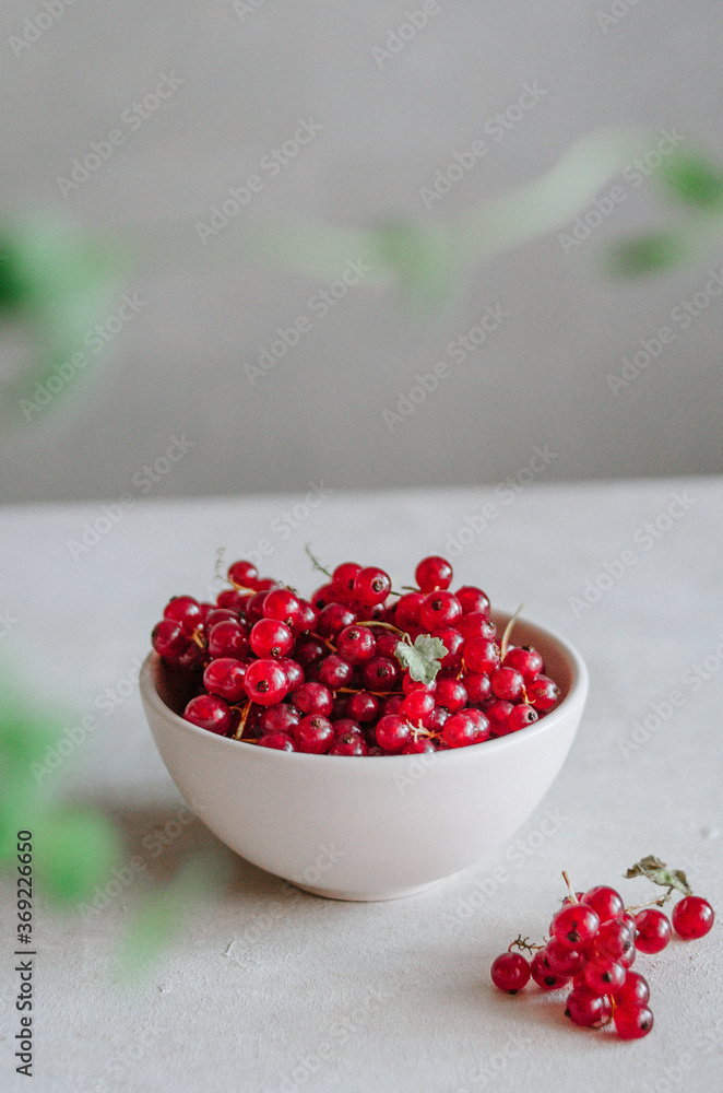 Bright fresh red currant in white bowl on table on grey background with green leaves frame Bright fresh red currant in white bowl on table on grey background with green leaves frame