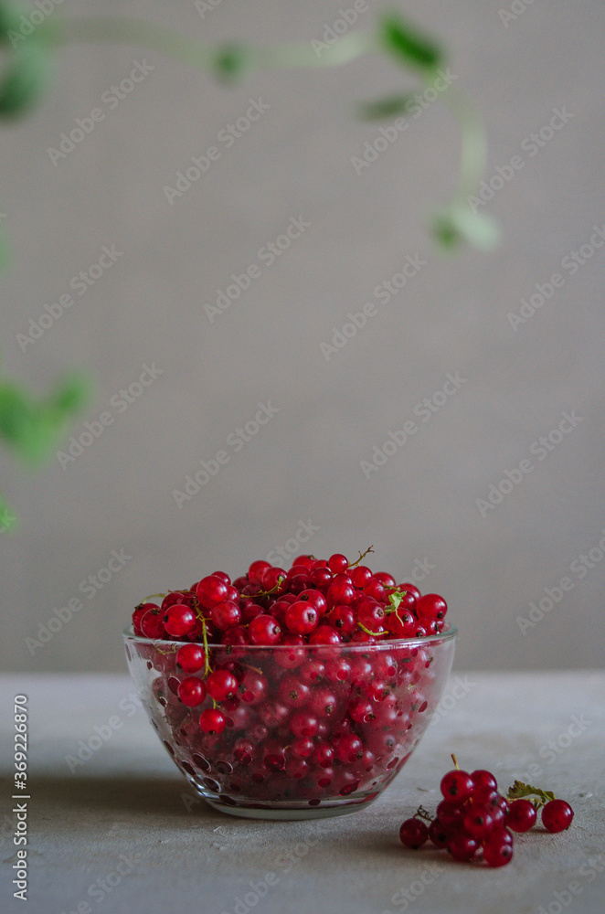 Bright fresh red currant in glass bowl on table on grey background with green leaves frame Bright fresh red currant in glass bowl on table on grey background with green leaves frame
