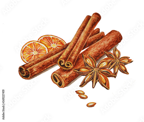 Spice composition: dried orange, cinnamon sticks, star anise and seeds. Watercolor illustration, hand drawing on a white background.