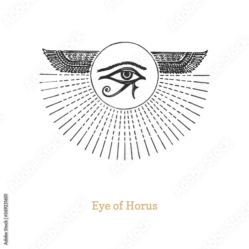 Eye of Horus, vector drawing in engraving style.