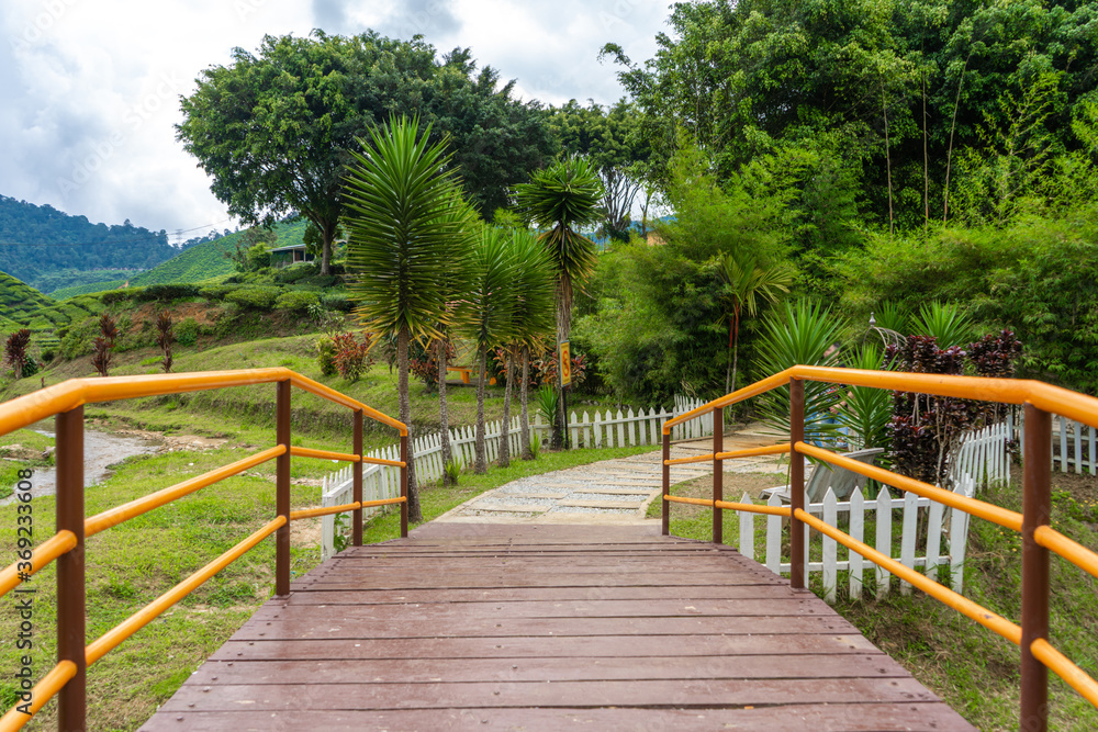 A bridge over a mountain river to the Cameron tea valley. Wildlife beauty in Malaysia
