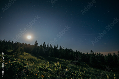 A sky view looking up at night