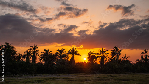 sunset in the desert