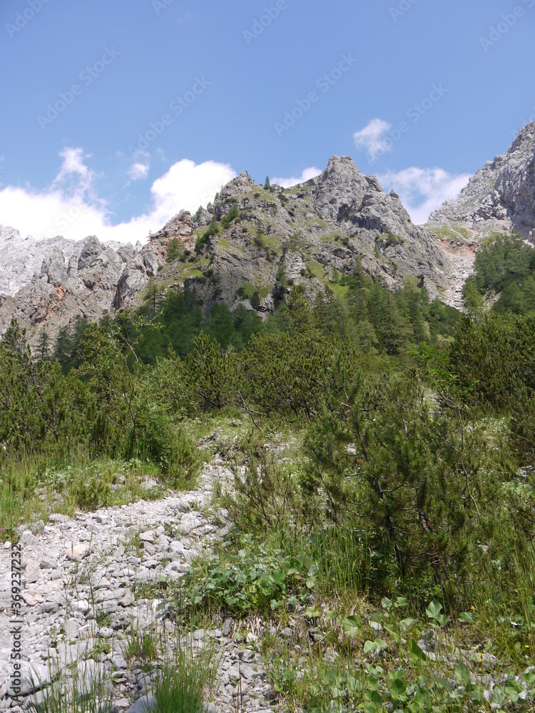 Obraz premium Im Wimbachtal