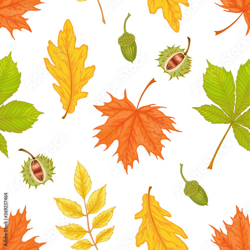 Vector autumn leaves seamless pattern on white background. Oak, acorn, rowan tree, Maple, Horse chestnut