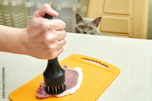 Girl using meat tenderizer to prepare the pork. The cat looks at the process in the background photo