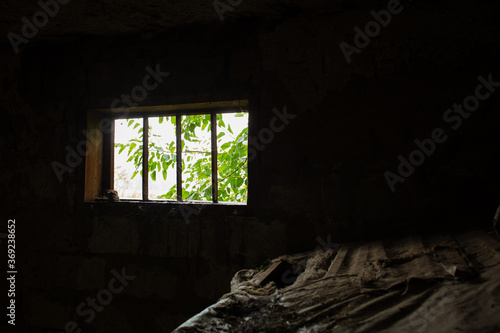 Light enters a dark barn through a small window in which a green tree is visible.