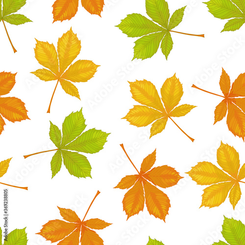 Vector illustration of autumn seamless pattern Horse chestnut leaves. Beautiful green plant background.