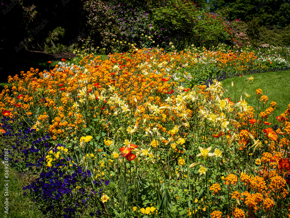 beautifully designed flower bed in the large garden