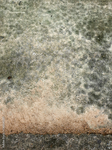 Obraz na płótnie rough green lichen concrete wall texture w salonie