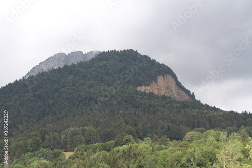 The Chartreuse mountain